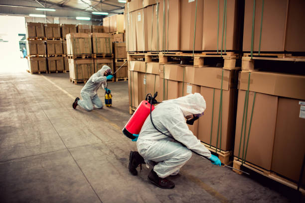 Wasp Removal Services in Wildwood, TN
