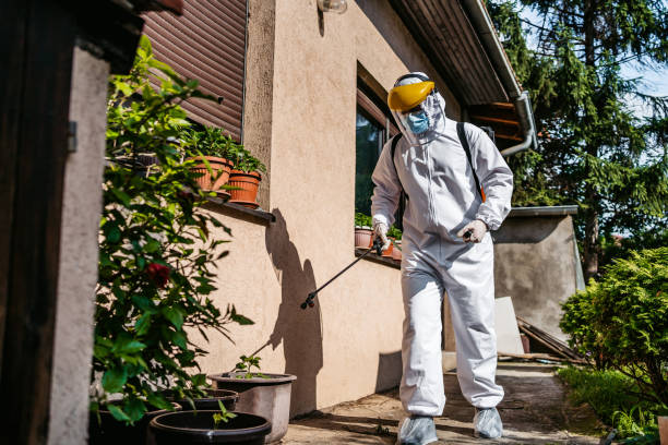 Best Rat Extermination Near Me  in Wildwood, TN