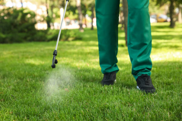 Best Best Pest Control Companies  in Wildwood, TN