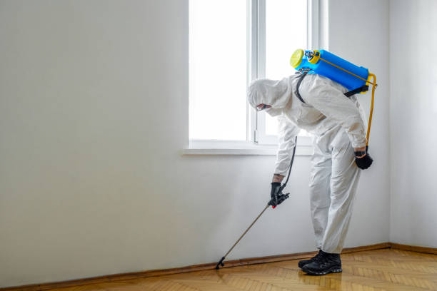 Best Pest Prevention Services  in Wildwood, TN