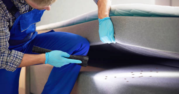 Best Rat Extermination Near Me  in Wildwood, TN