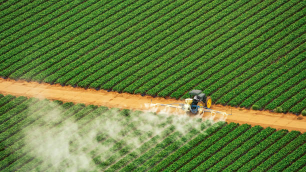 Reliable Wildwood, TN Pest Control Solutions