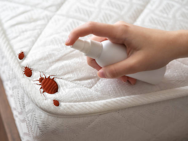 Best Residential Pest Control  in Wildwood, TN