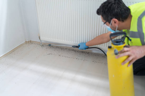 Best Affordable Pest Control Services  in Wildwood, TN
