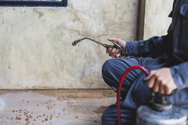 Best Flea Control Services  in Wildwood, TN
